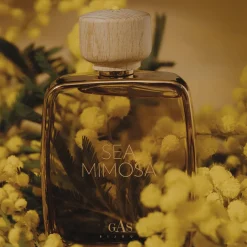 Gas Bijoux Eau de Parfum Sea Mimosa 50 ml^ Parfums & Soin